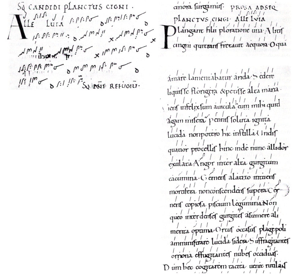 Peter Mezei