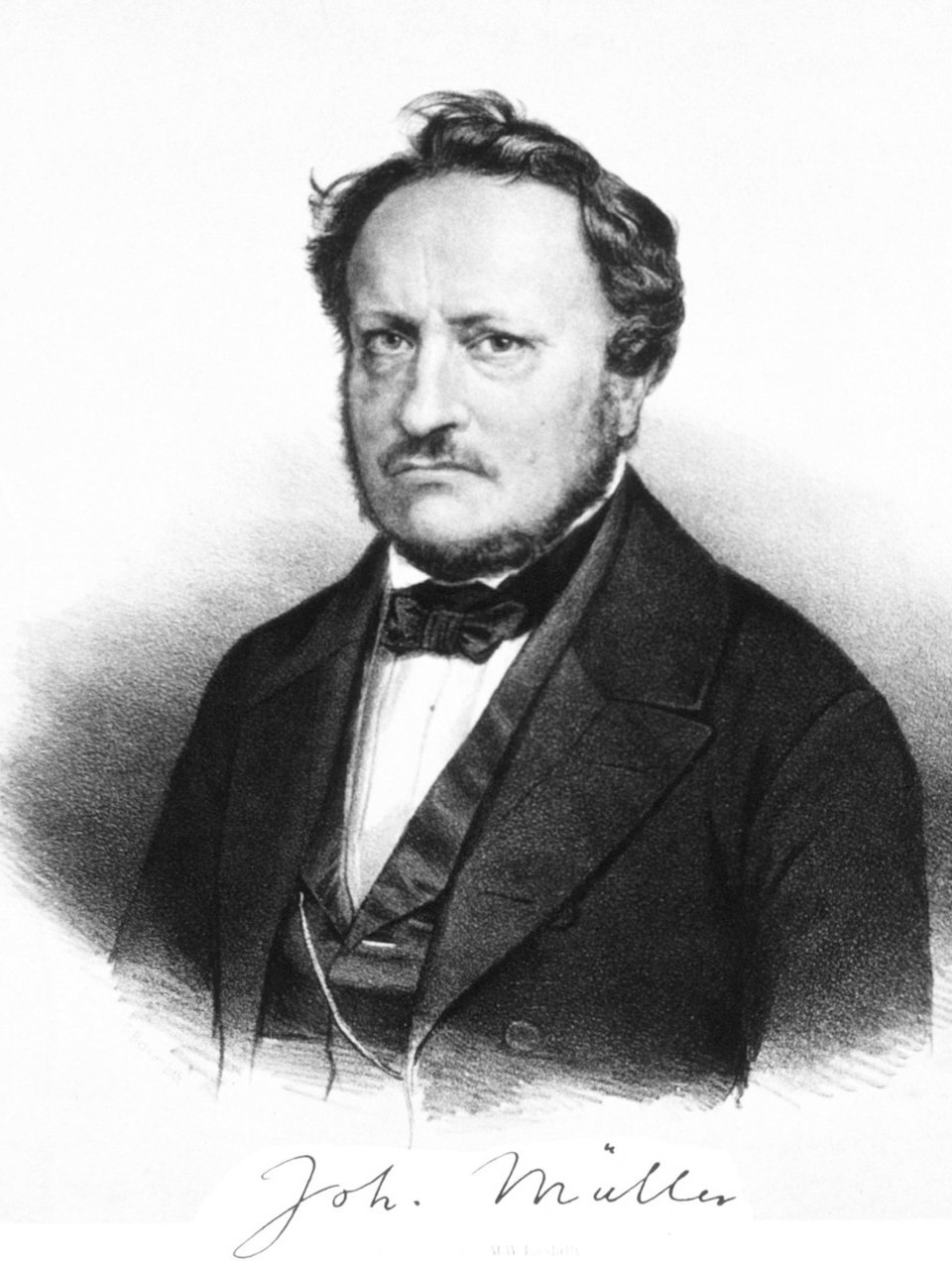 Peter Müller