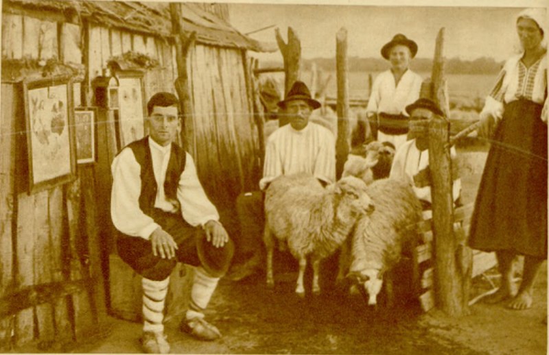 Petrache Lupu