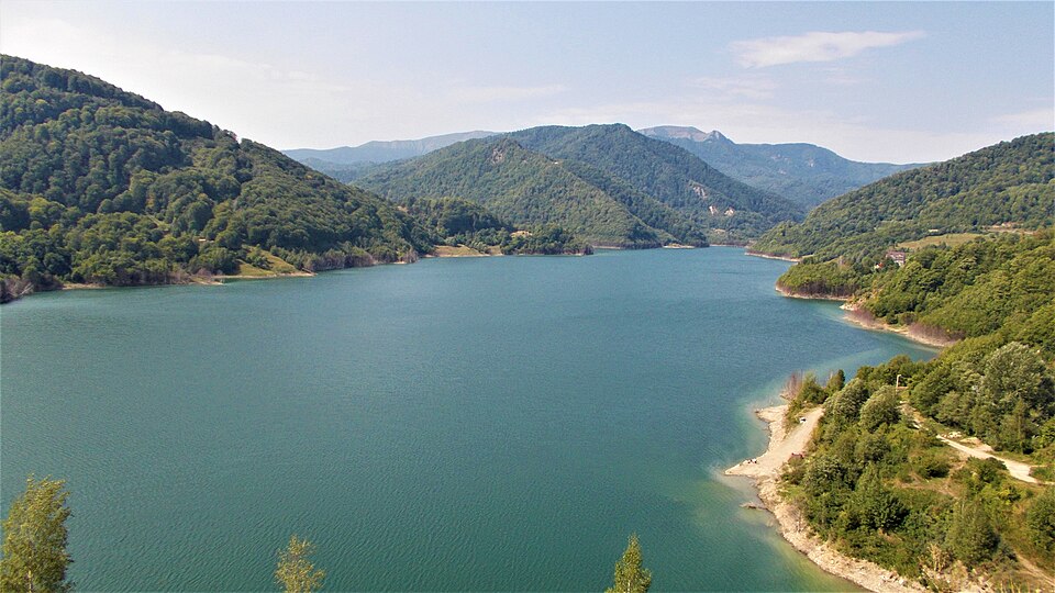 Petre Emanoil Neagu
