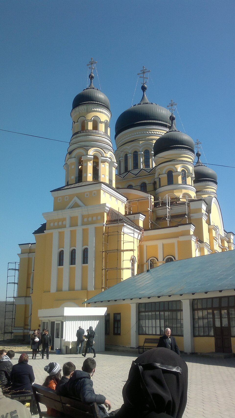 Petru de Ungheni