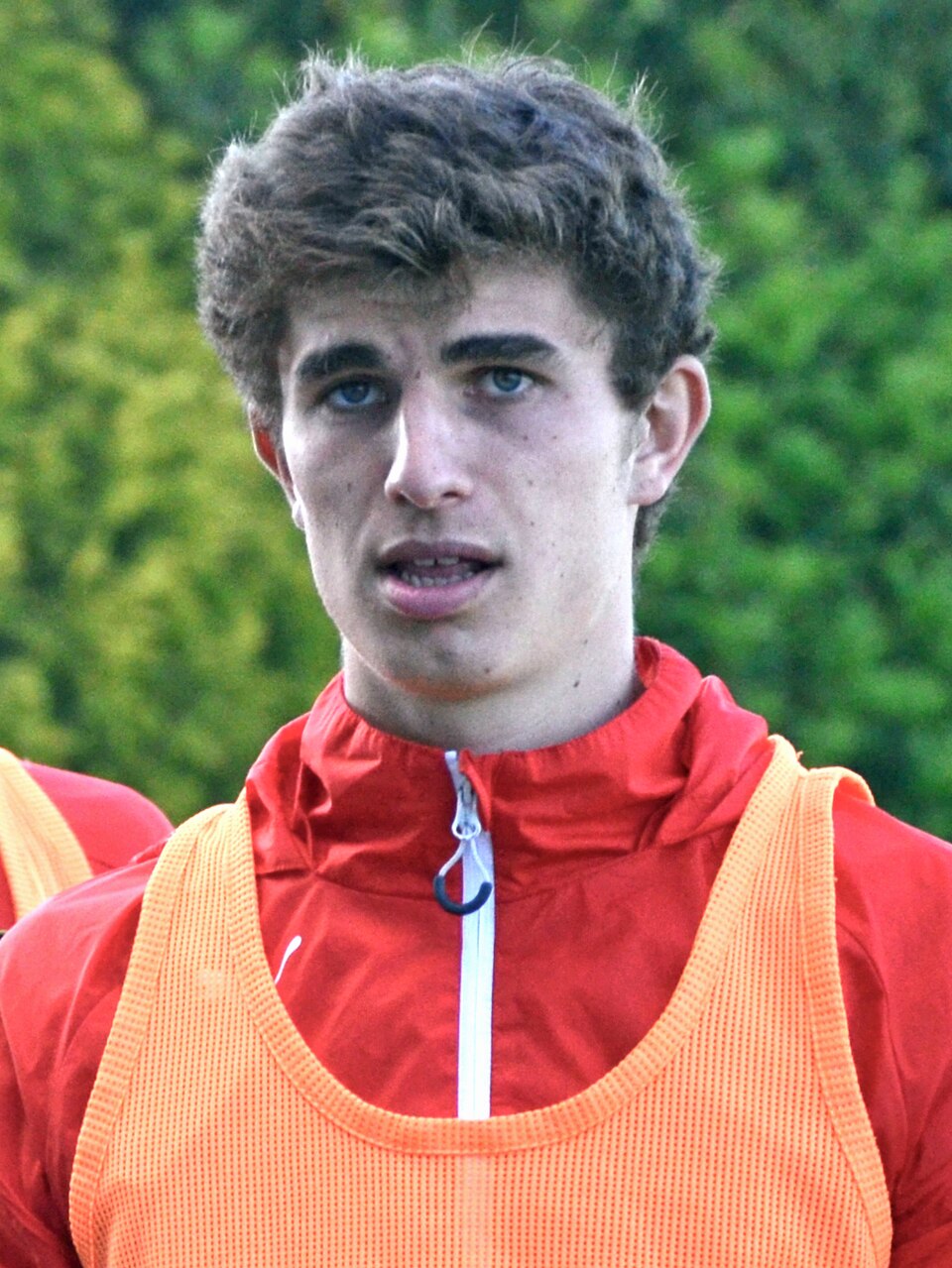 Pierre-Yves Hamel