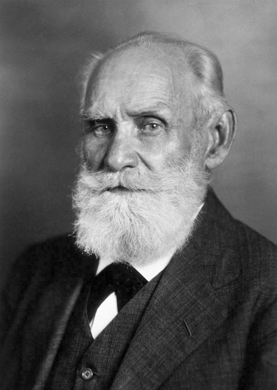 Pit Pavlov
