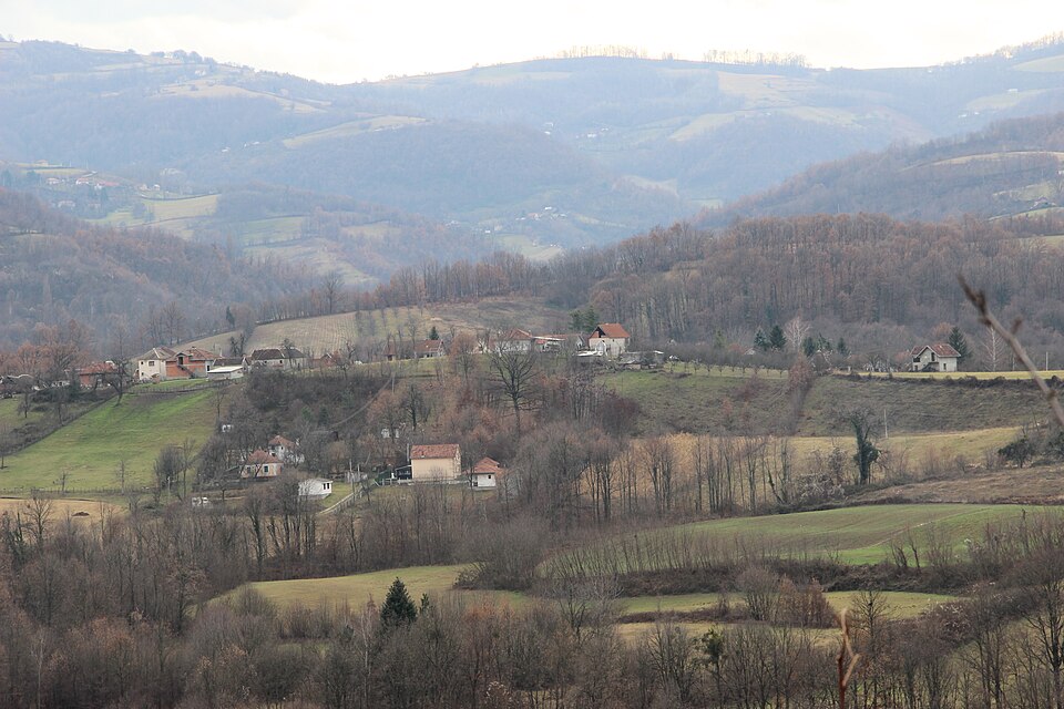 Popadić