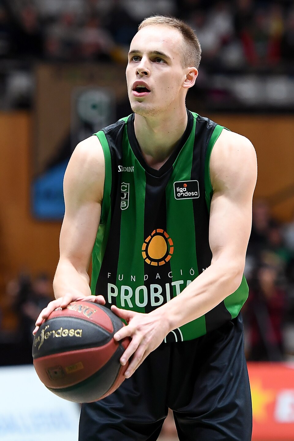 Prepelič