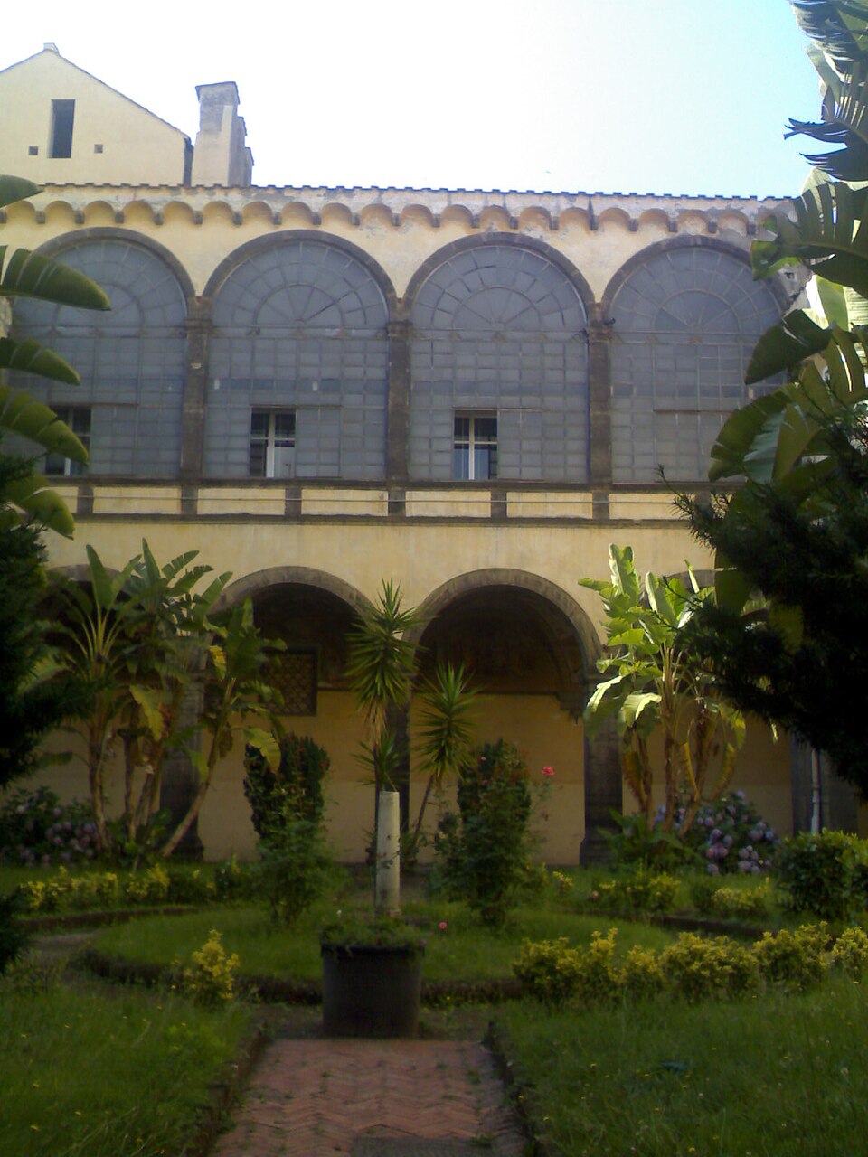 Primo Miranda Cava