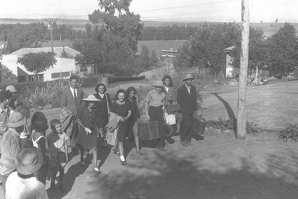 Professor Doron Neve