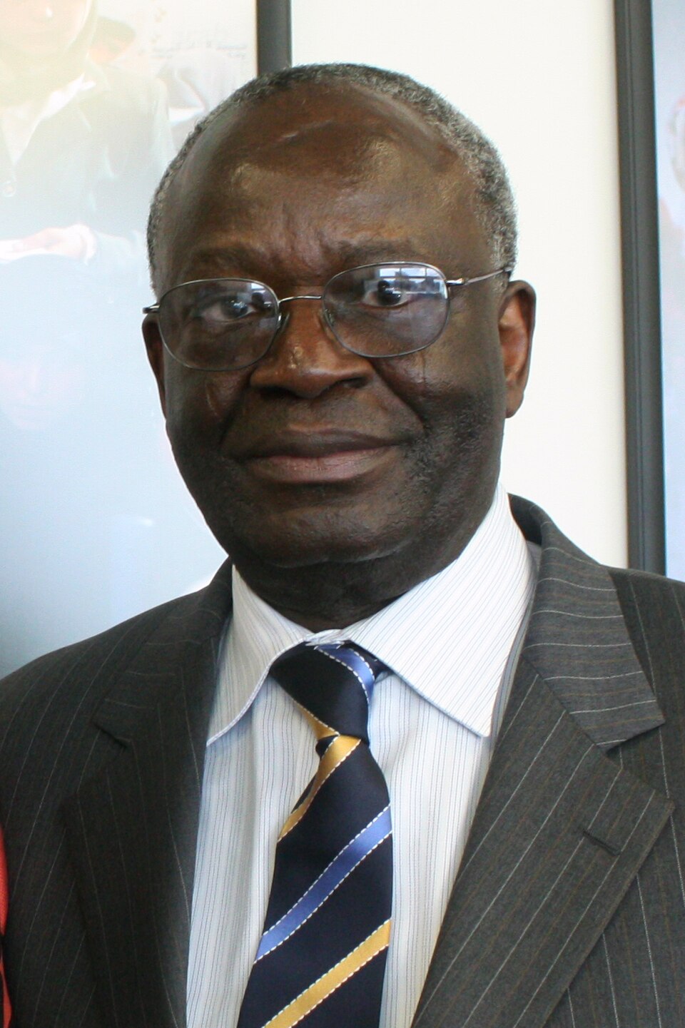 Professor Ibrahim