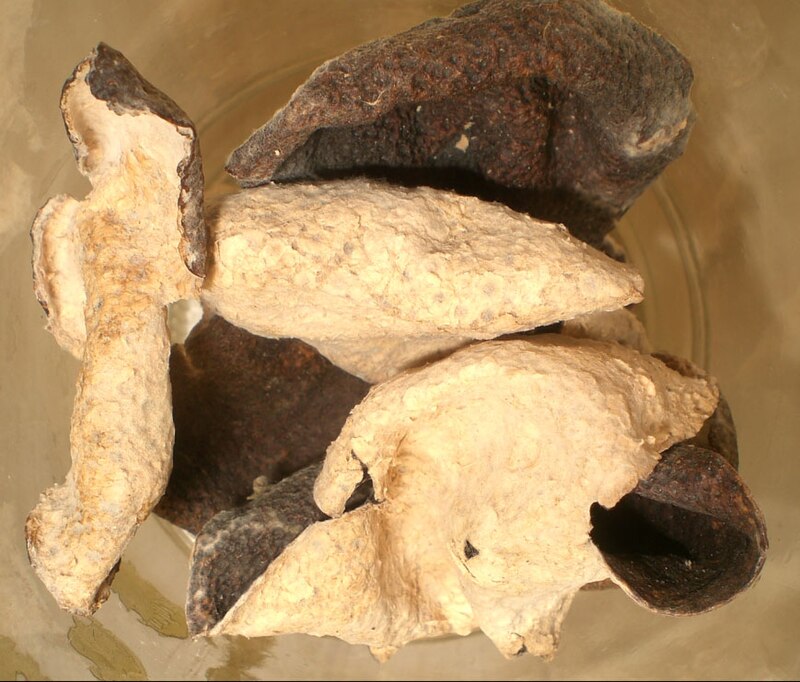 Qi Daidai
