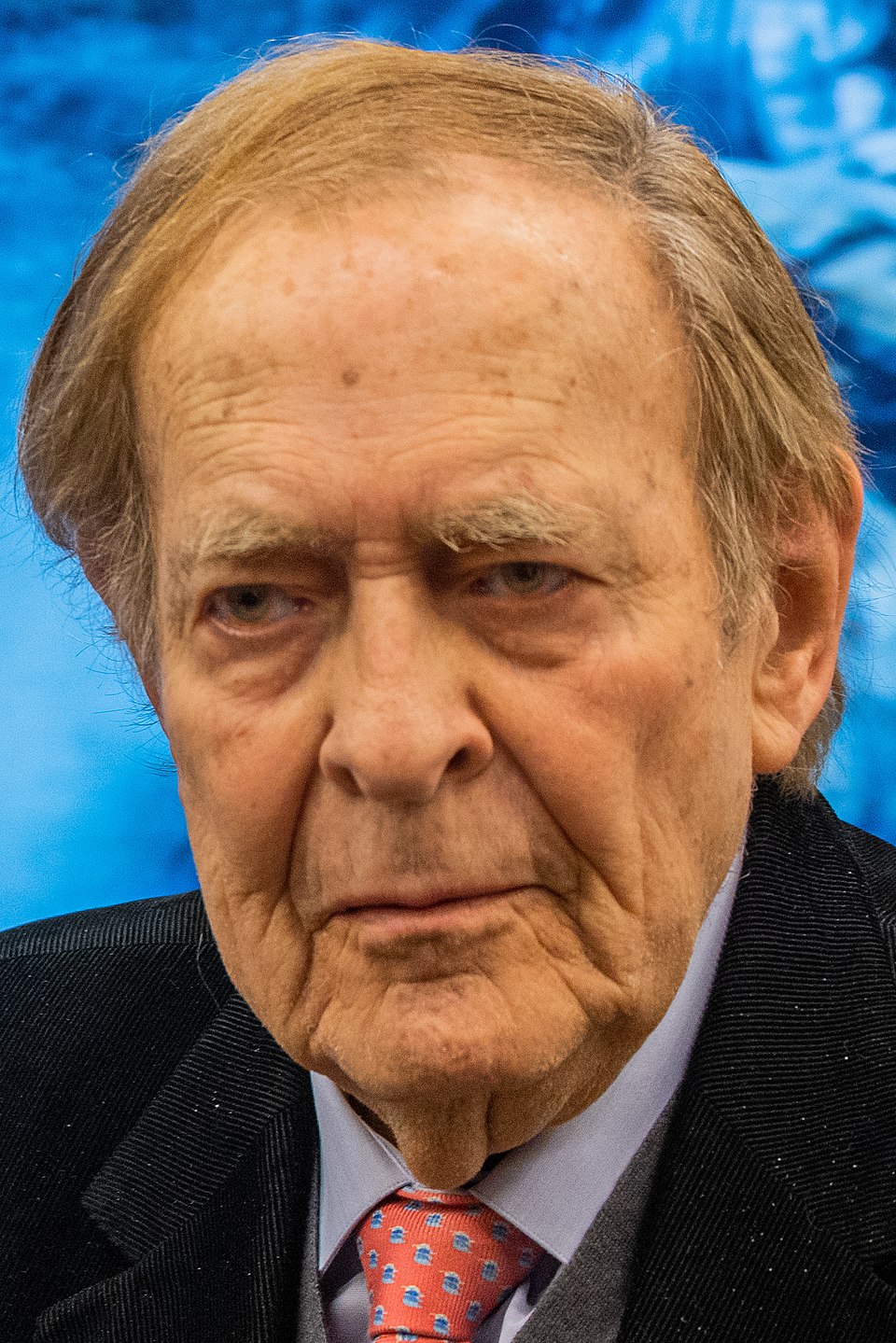 Ramón Tamames