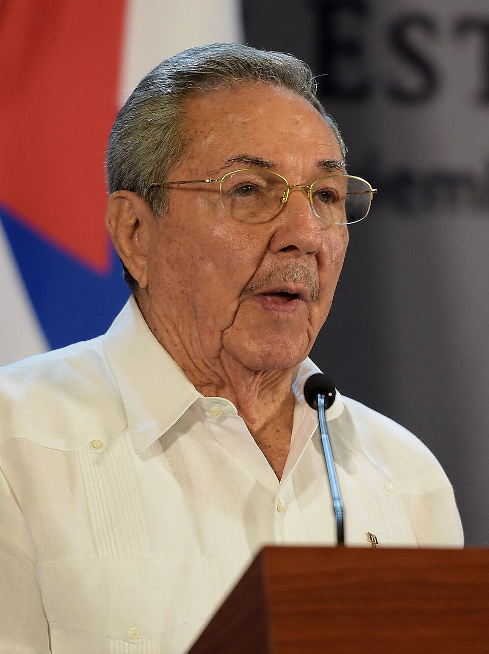 Raúl Guillermo Castro