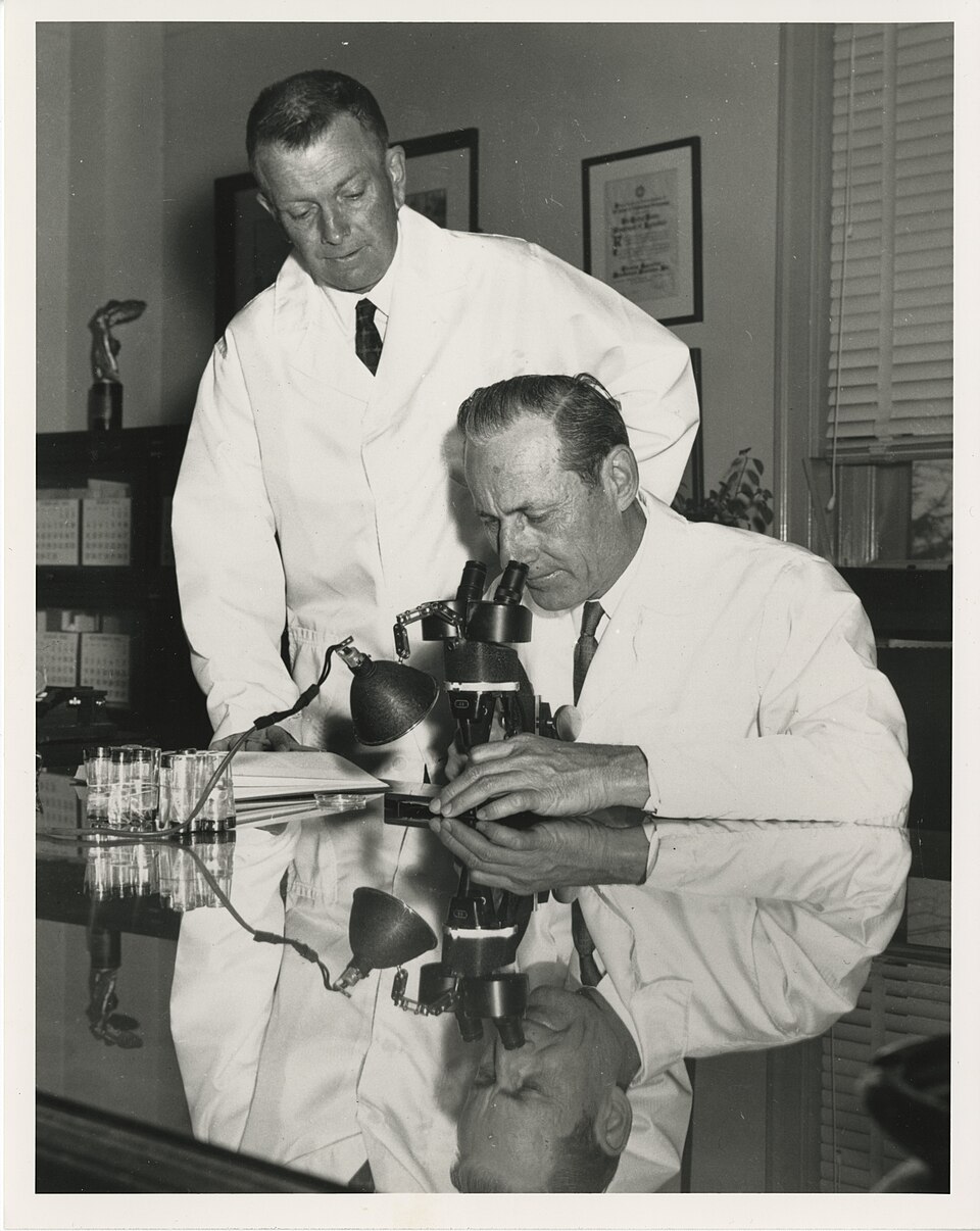 Raymond Bushland