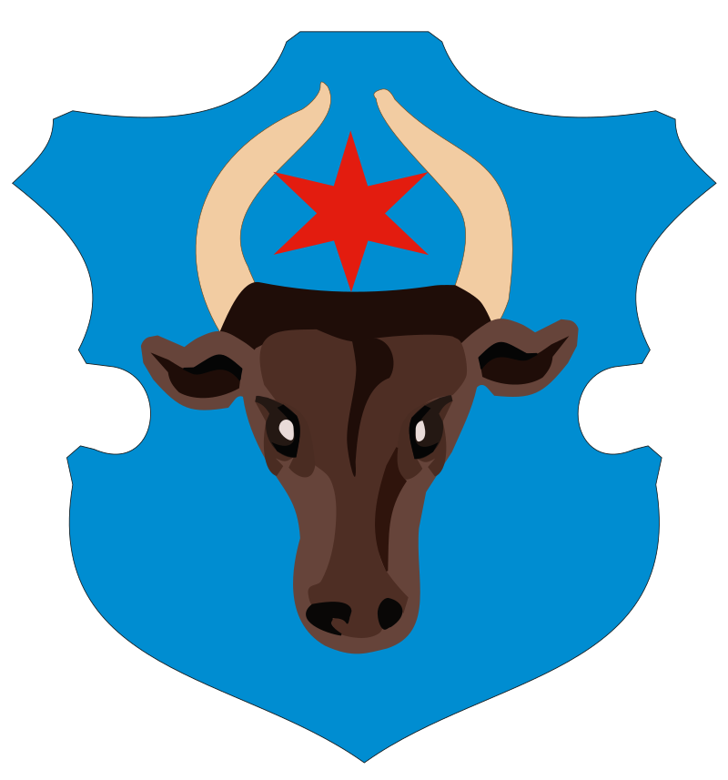 Răzvan Ionașcu