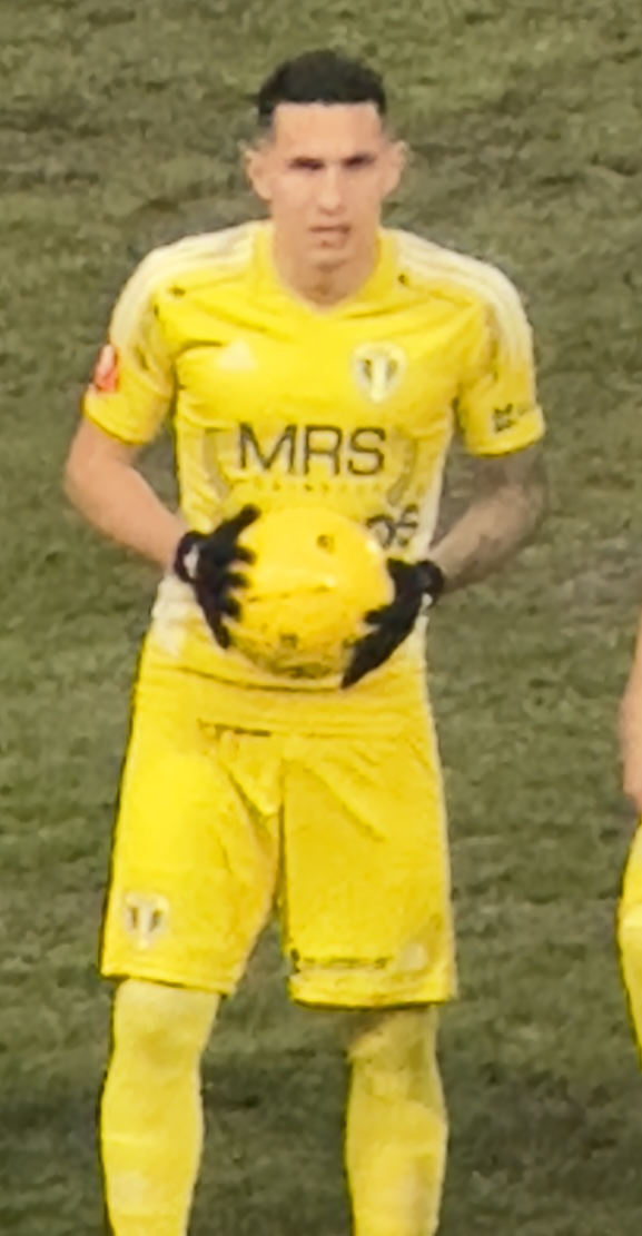 Robert Moldoveanu