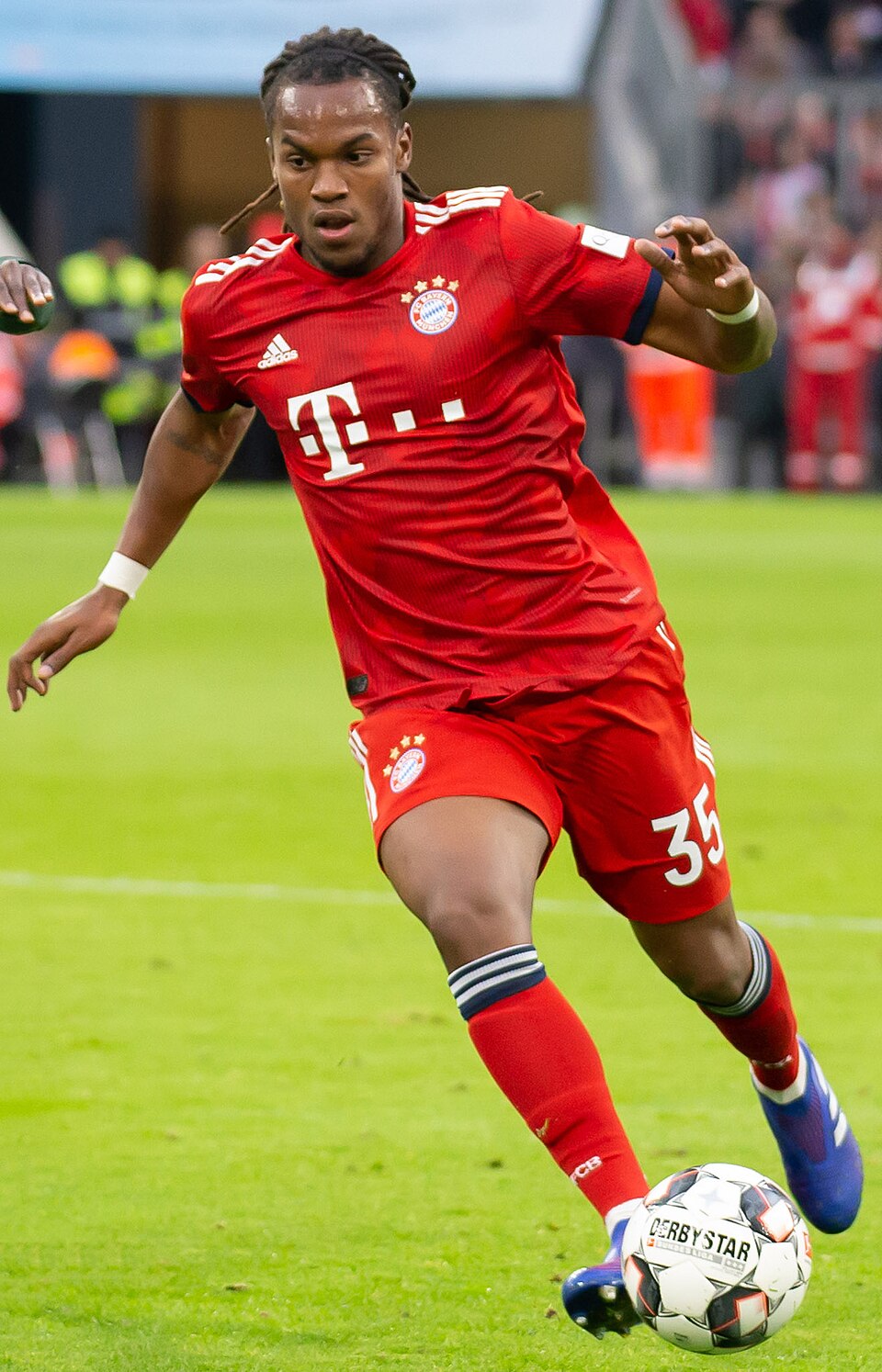 Robert Sanches