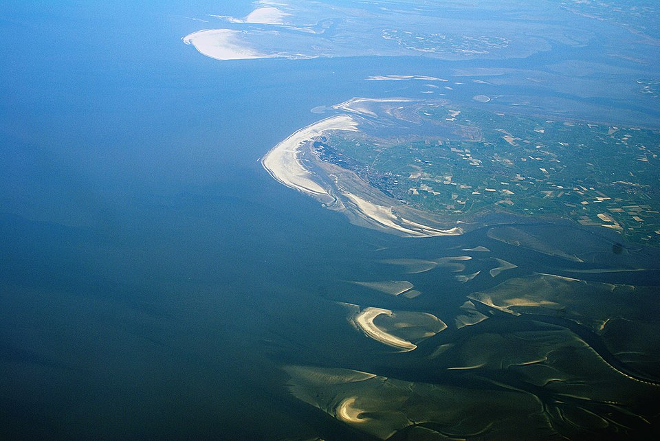Robert Wadden