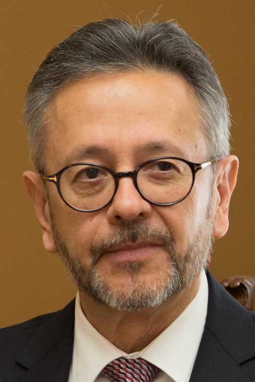 Roberto Flores Bermúdez