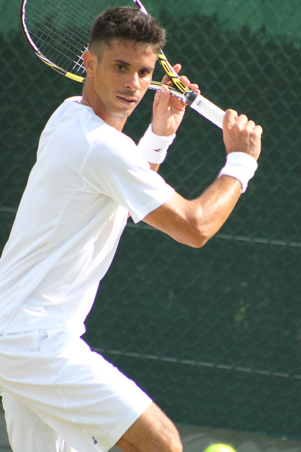 Rogerio Dutra Da Silva