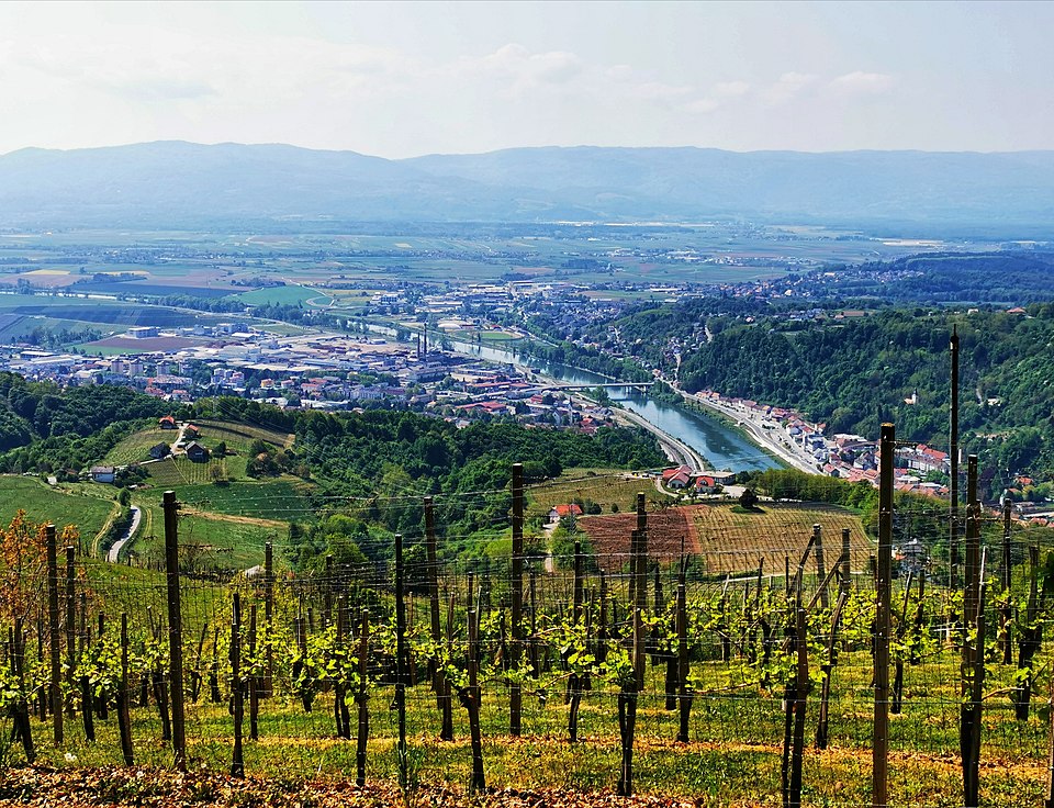 Roman Krško