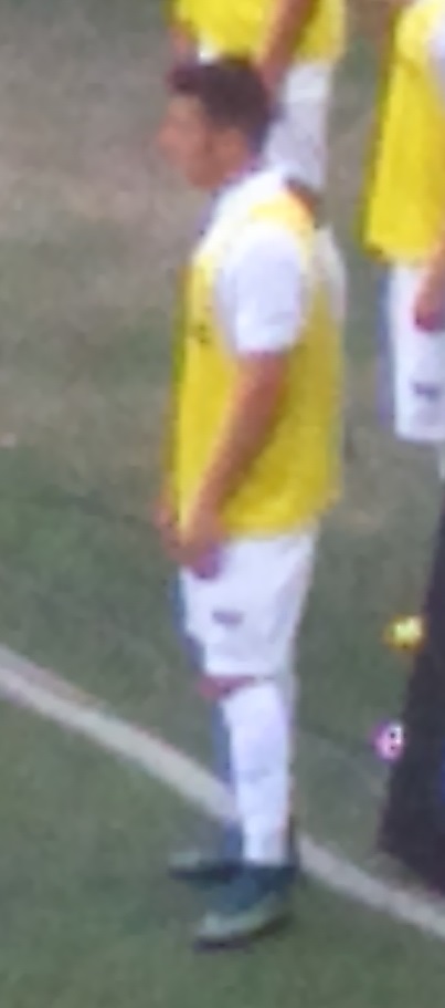 Ronaldo Mendes