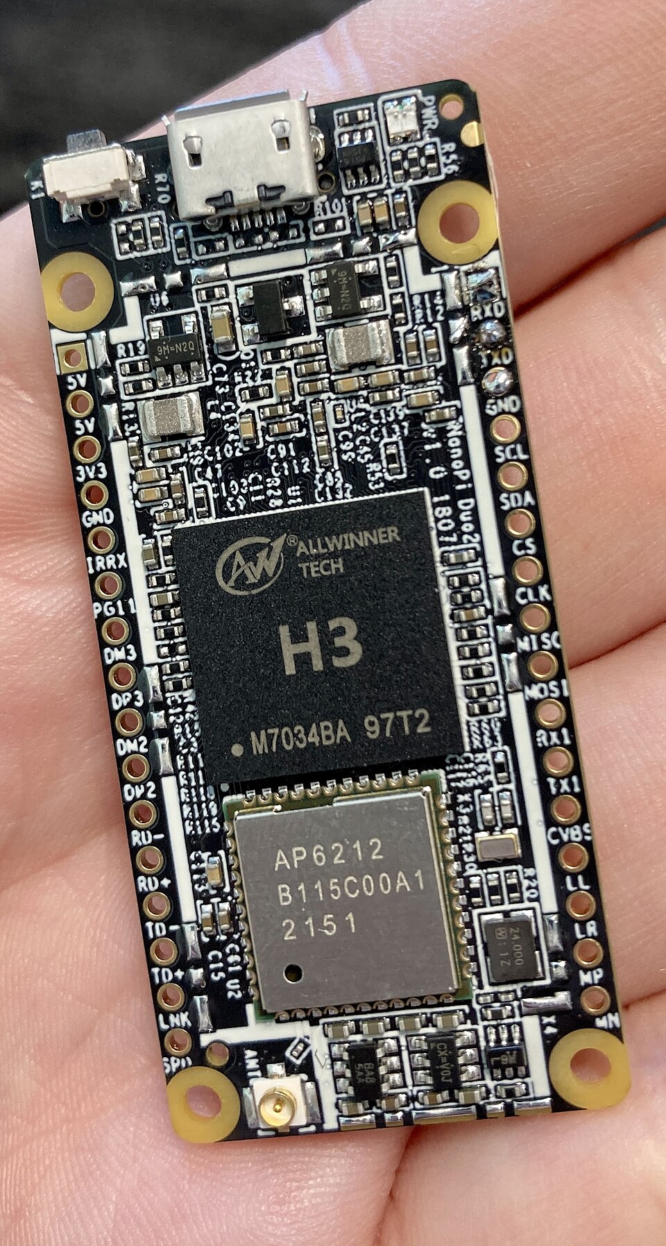 Rosa Pi