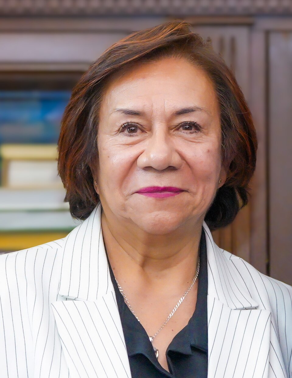 Rosa Yolanda Villavicencio Mapy