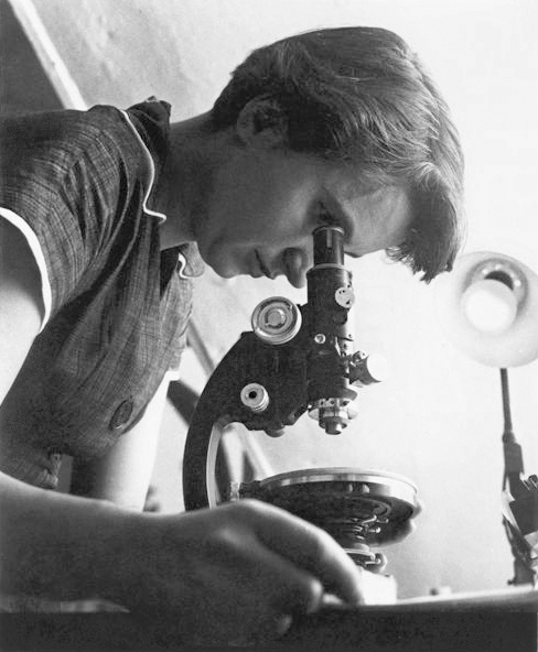 Rosalind Hanson