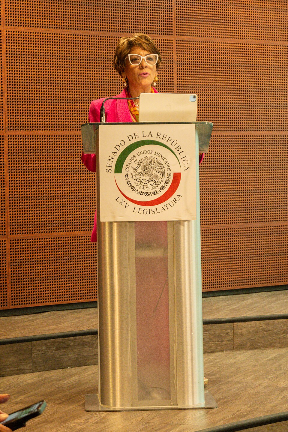 Rosaura Ochoa