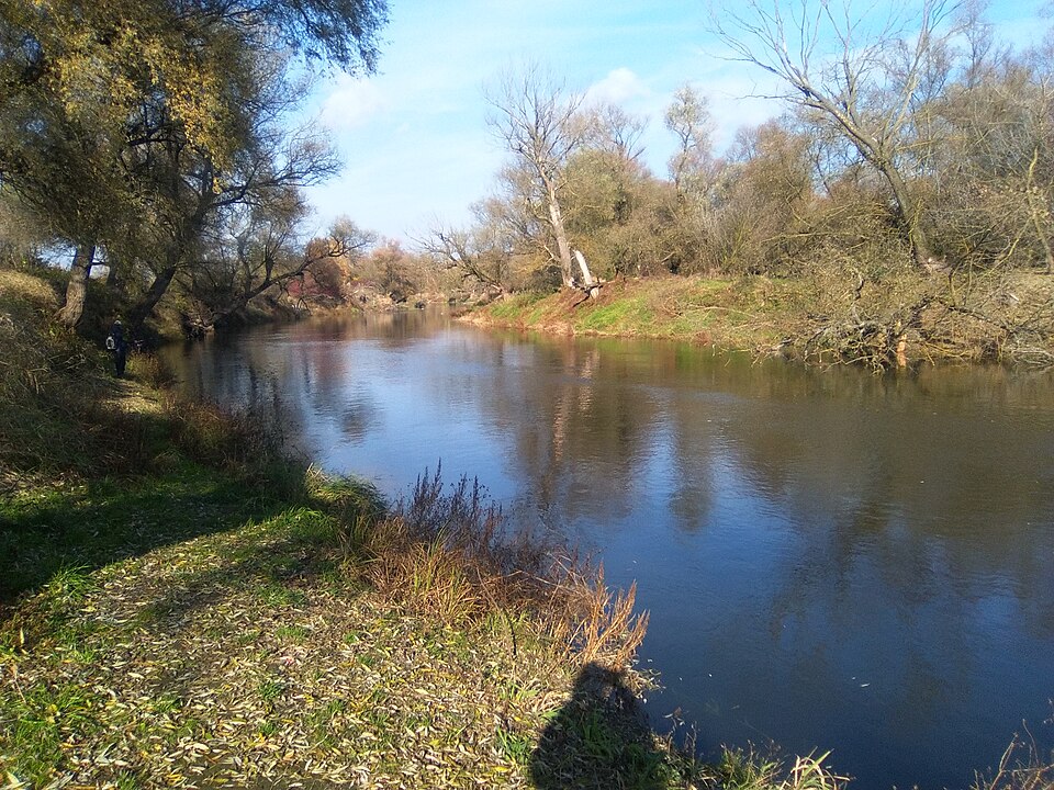 Rysia