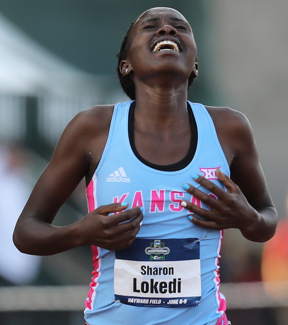 S. Lokedi
