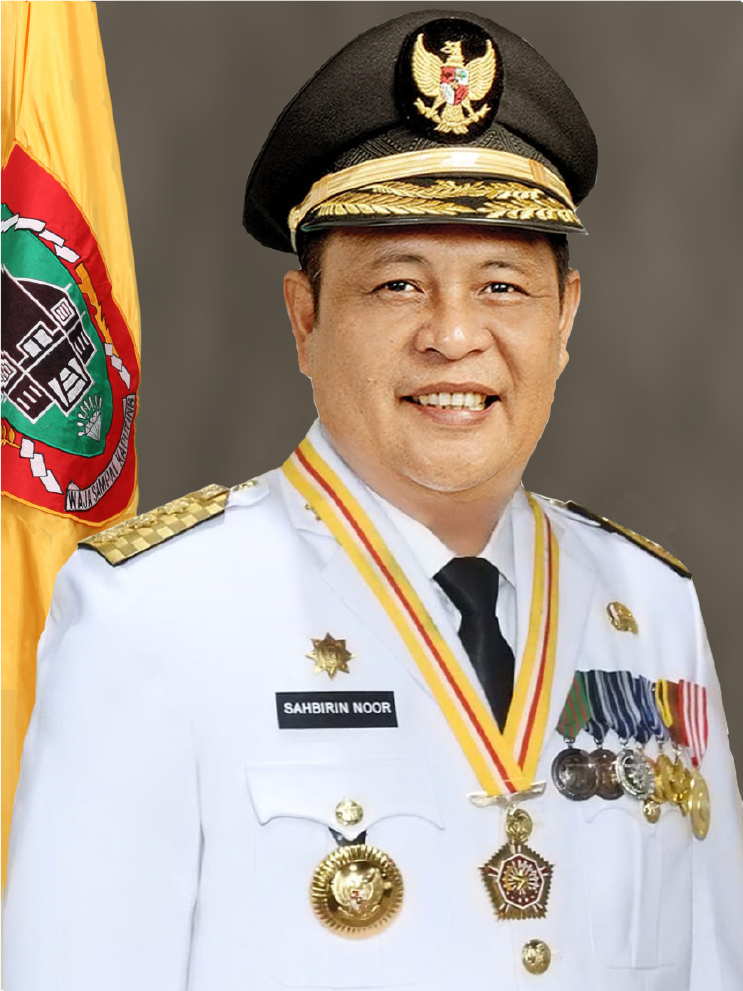 Sahbirin Noor