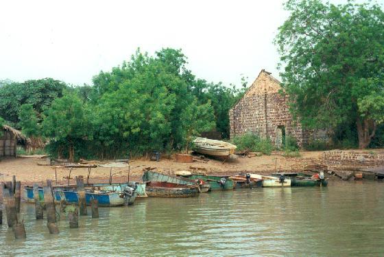 Saibo Camara