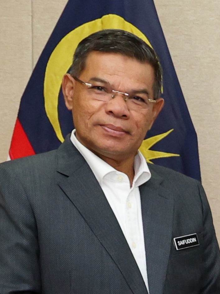 Saifuddin Nasution Ismail