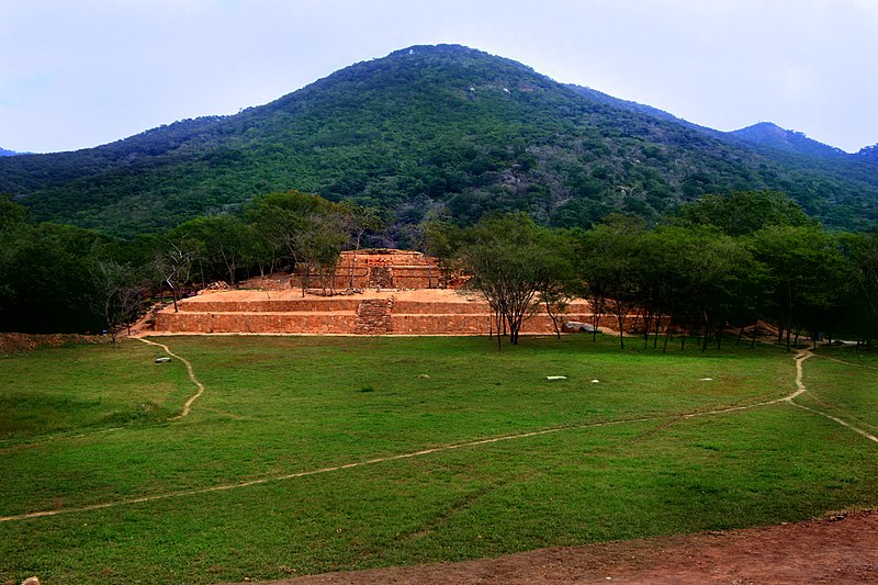 Salgado Macedonio