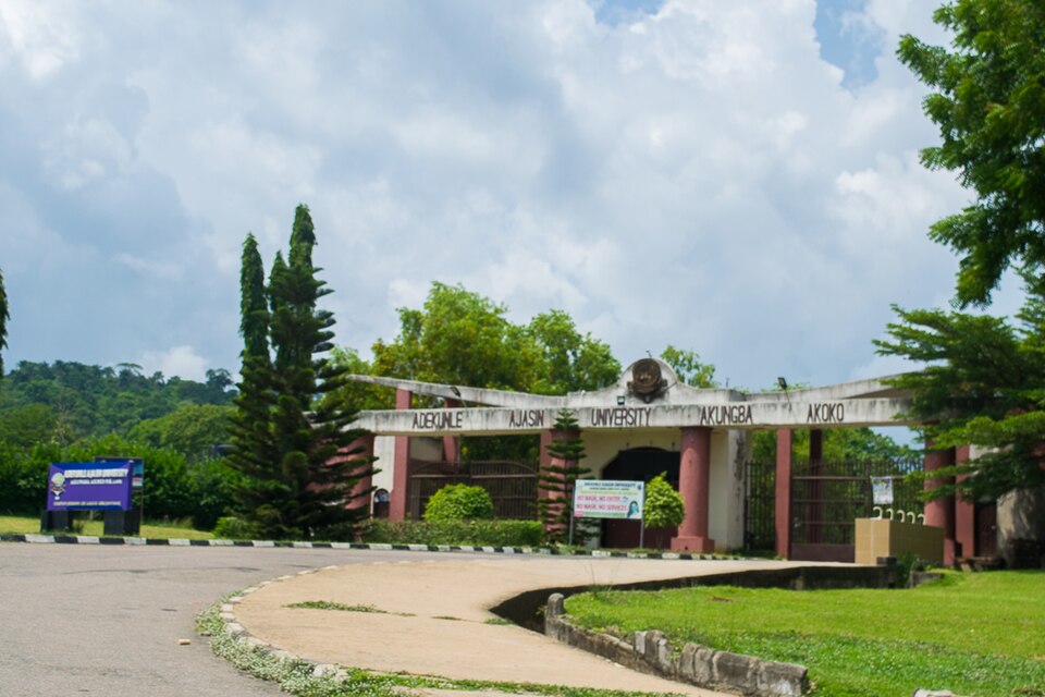 Samuel Adekunle