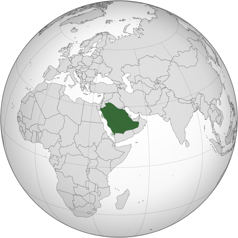 Sana bint Mohammed Suhail