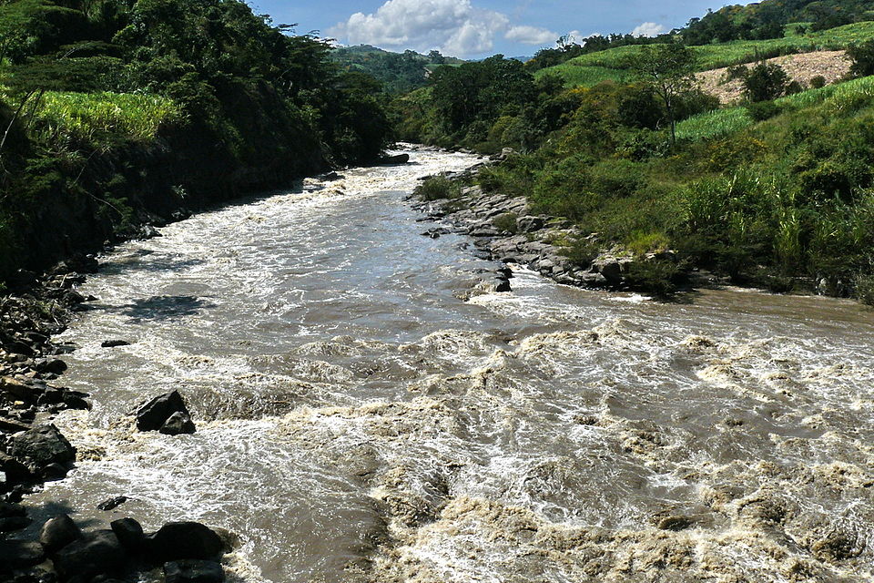 Sanabria Salas