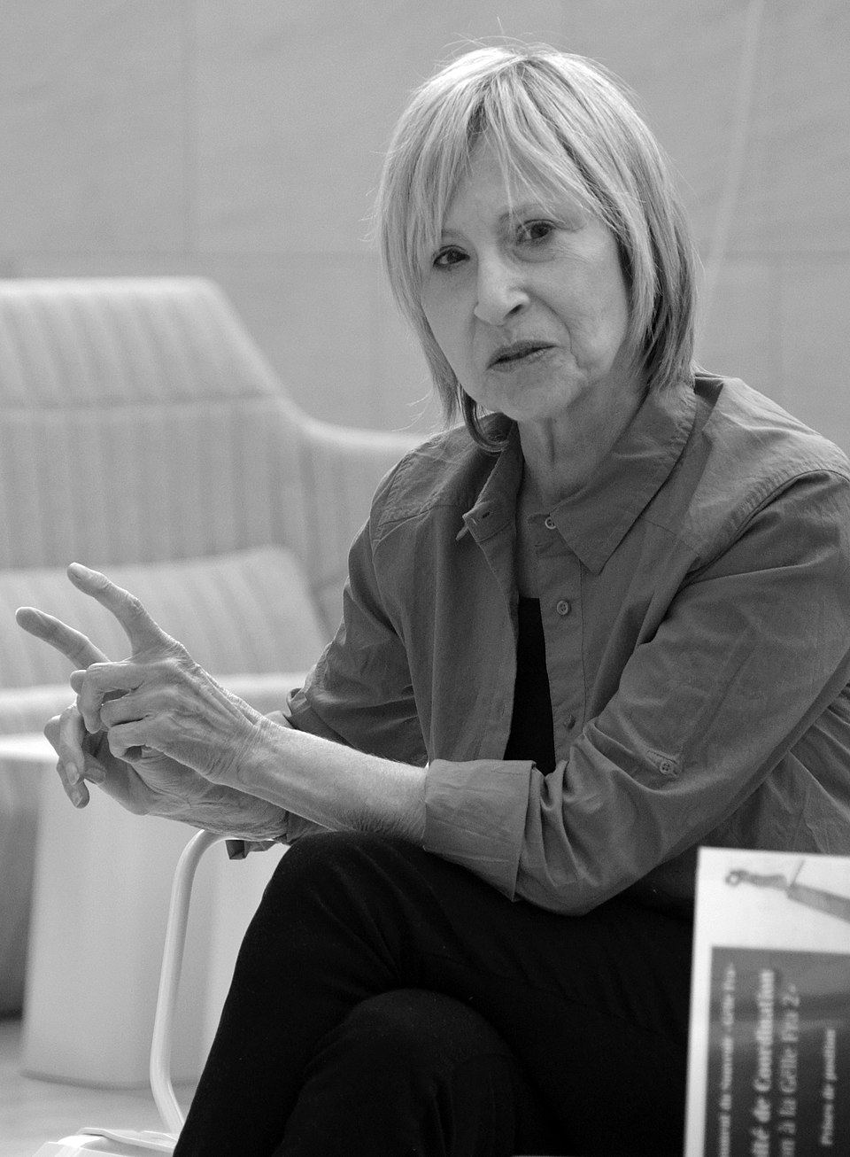 Sanja Iveković