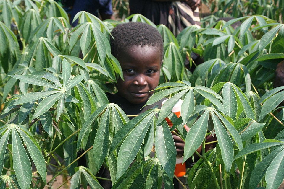 Sara Mbago-Bhunu