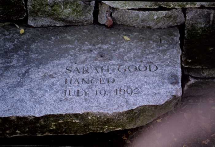Sarah Goodes