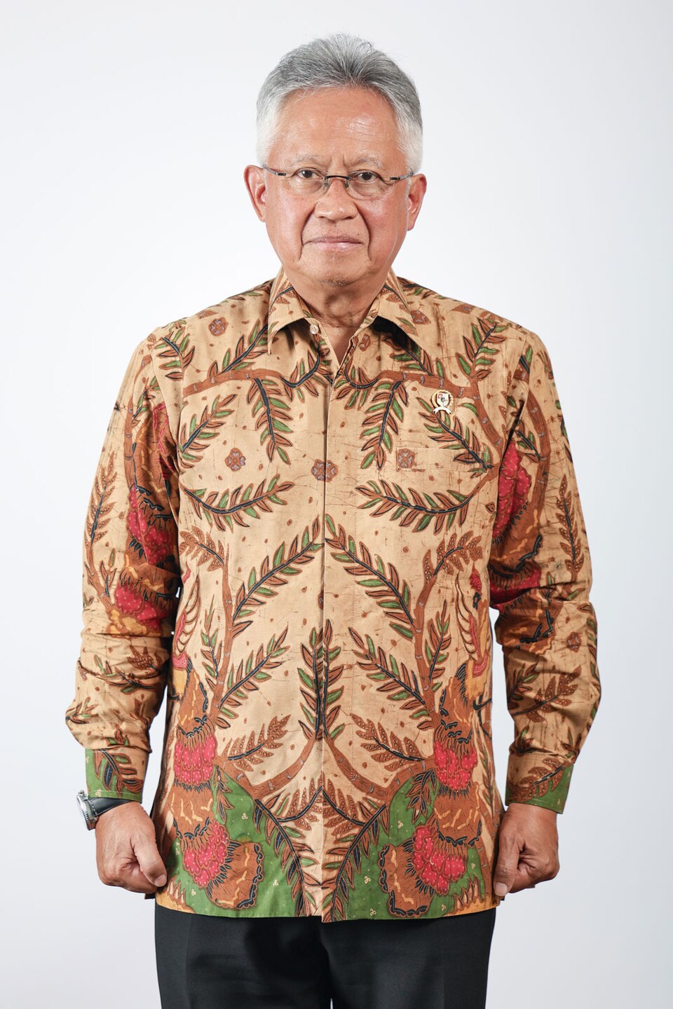 Satryo Brodjonegoro