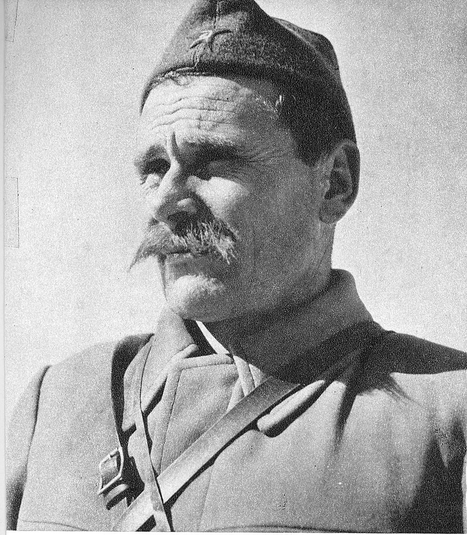 Save Kovačević