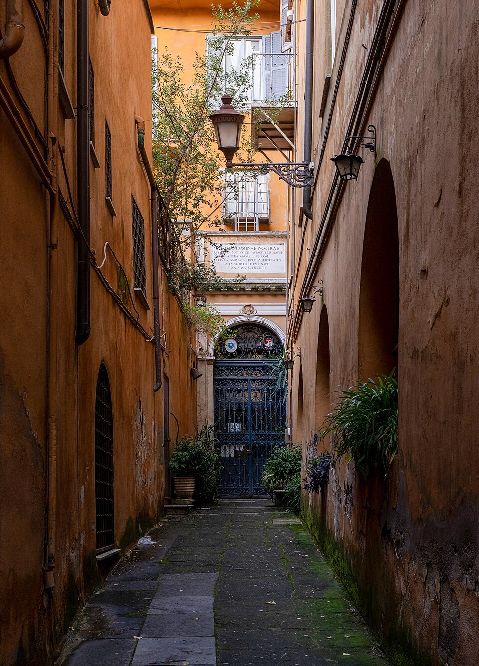 Savorelli