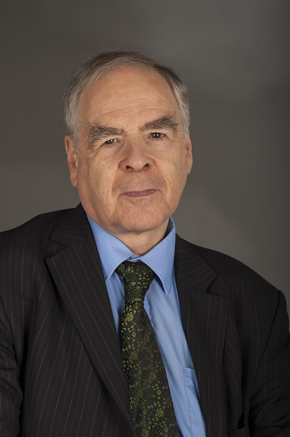Schöpflin György