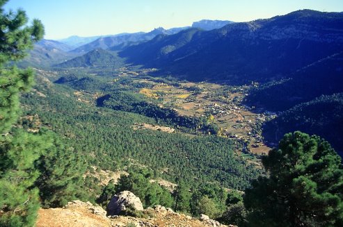 Segura Coto