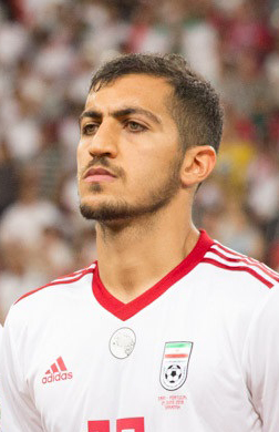 Seyed Majid Hosseini