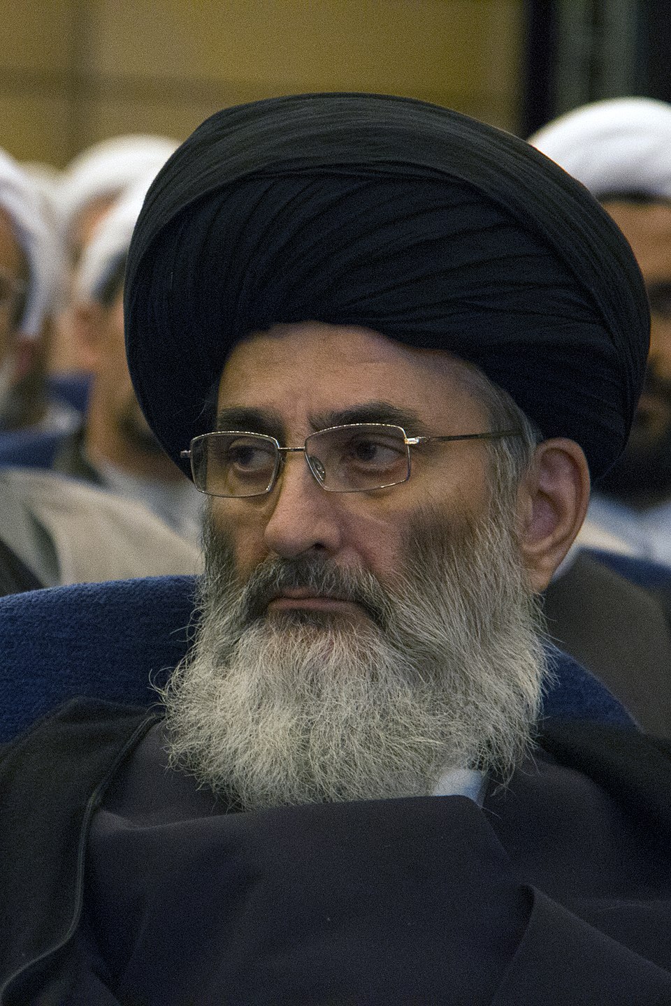 Seyyed Mahmoud Razavi