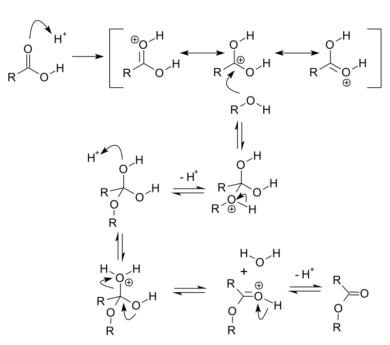 Sh.R.
