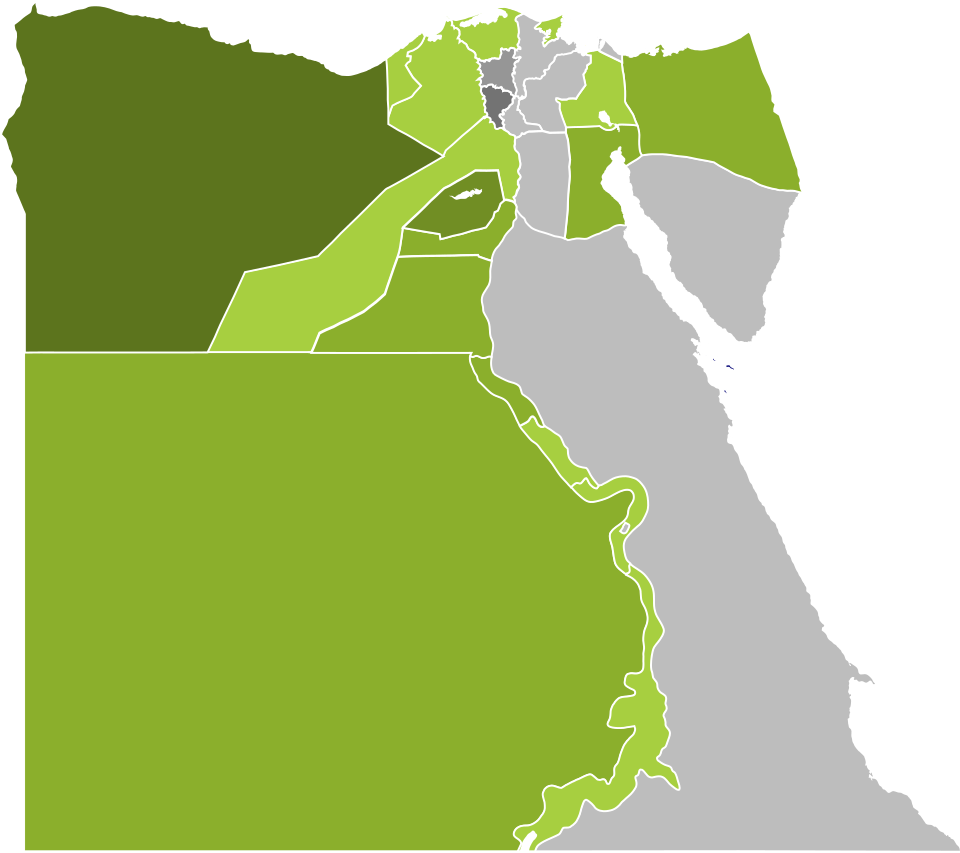 Shafik Said Abu Al-Naga