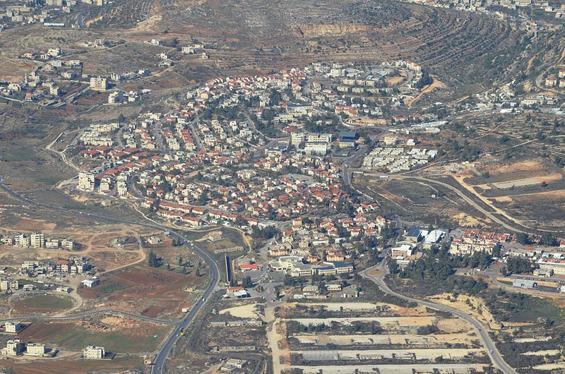 Shai Alon